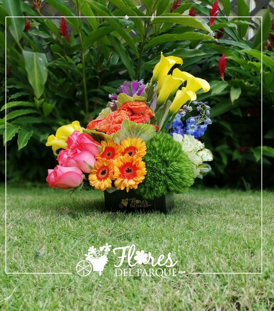 Arreglo con rosas, calas, lechugas, grimbolio, claveles - Flores del parque